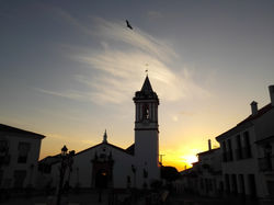 Nuestra cigüeña...