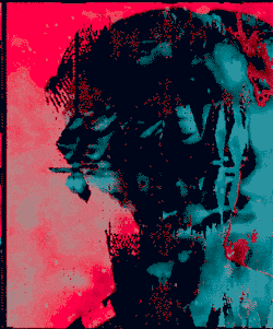 giphy (12).gif