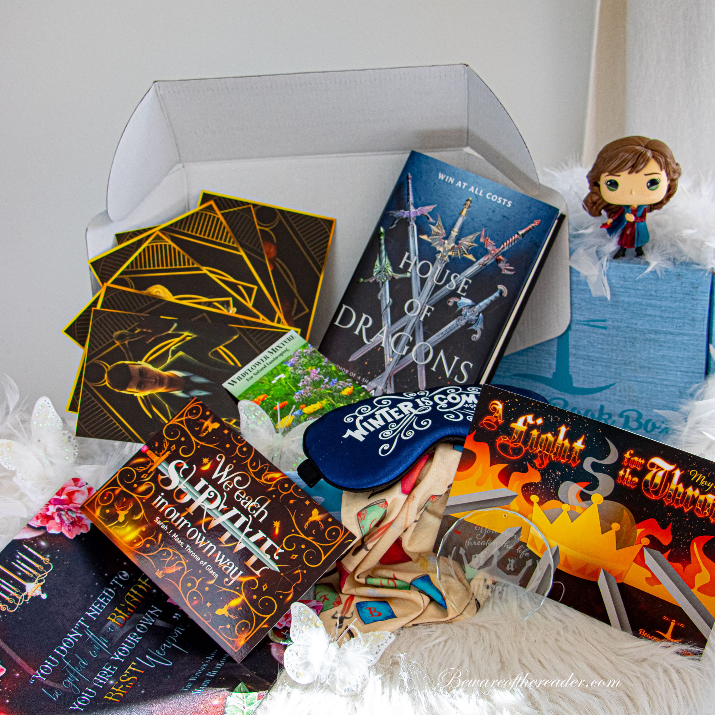 Past Boxes | Beacon Book Box