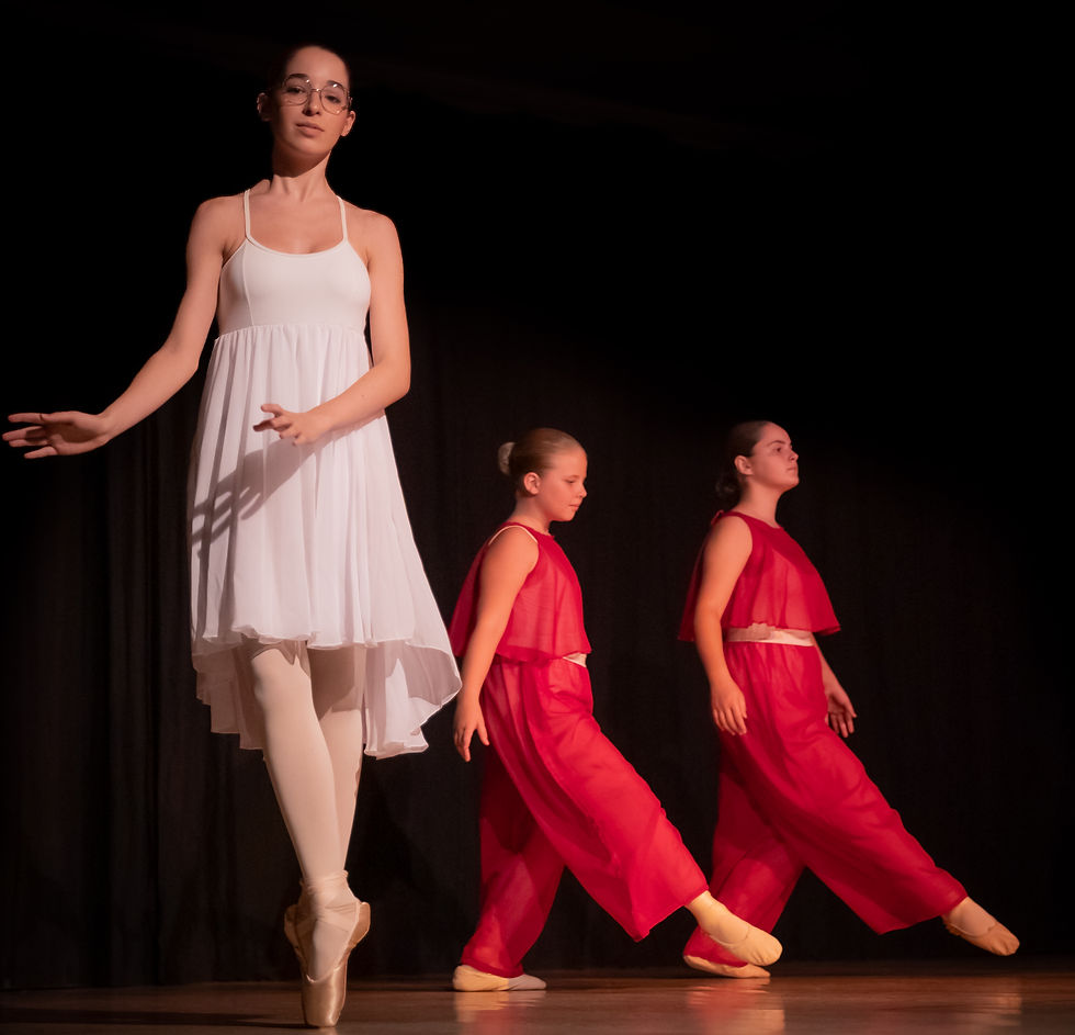 deborah-billet-artisan-photographe-73110-valgelon-la-rochette-gala-l-atelier-de-danse-160.