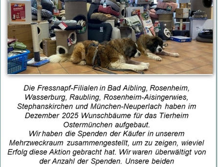 Creative Hilfe zu Weihnachten - wir danken herzlich allen Spenderinnen und Spendern! Insbesondere aber auch den Initiatoren für ihre Hilfe