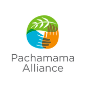 pachamama logo.png