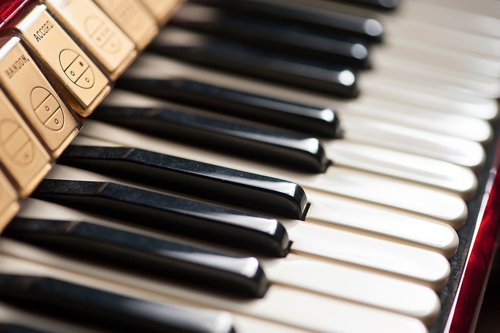 Accordion Keyboard Close-Up