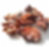Groin de porc