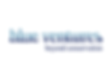Blue Ventures