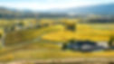 Aerial view of Felton Road in golden light. Felton Road is an IWCA winery in New Zealand.