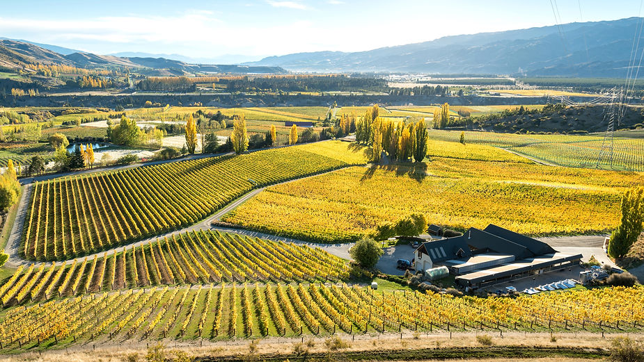 Aerial view of Felton Road in golden light. Felton Road is an IWCA winery in New Zealand.