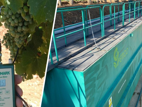 Water in Wine: Beyond Consumption, Toward Impact