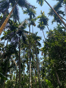 IMG-20251001-WA0034.jpg
