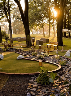 Screenshot_20230309-201055_Gallery-5_edi