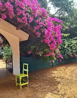 Screenshot_20230309-201055_Gallery-5_edi