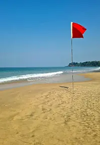 20230307_101926-2.webp