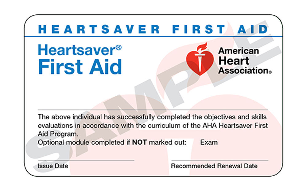 American Heart Saver First Aid
