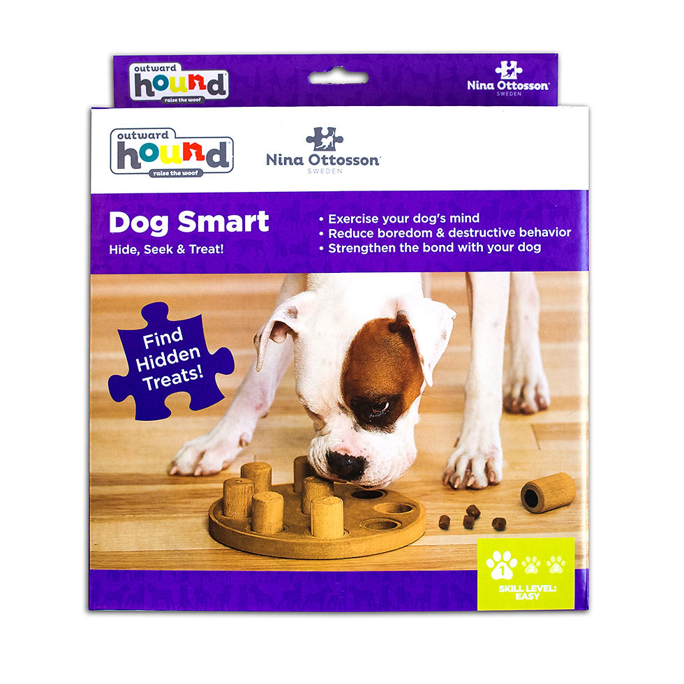 Thumbnail: Nina Ottosson Dog Smart Composite - Level 1