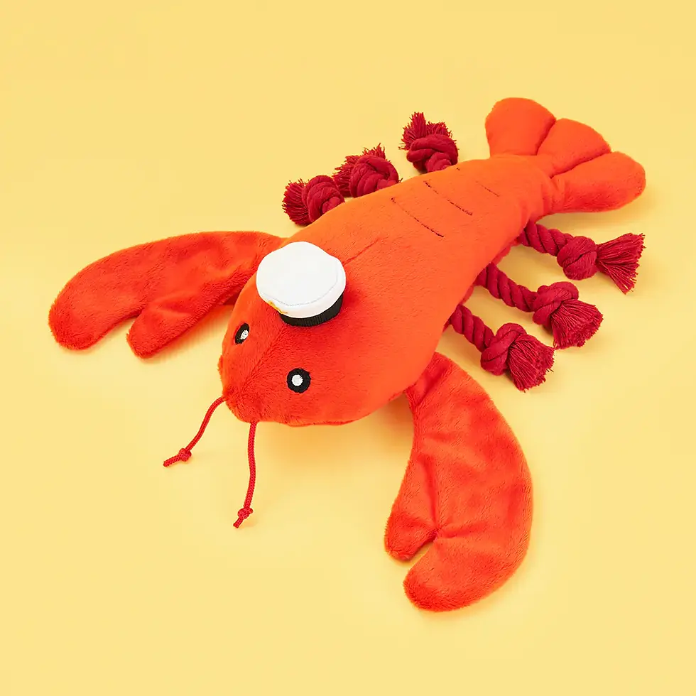 Thumbnail: Luca the Lobster by Zippy Pawz