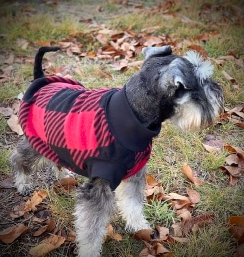 Pawz@Play Jumper - Red Check