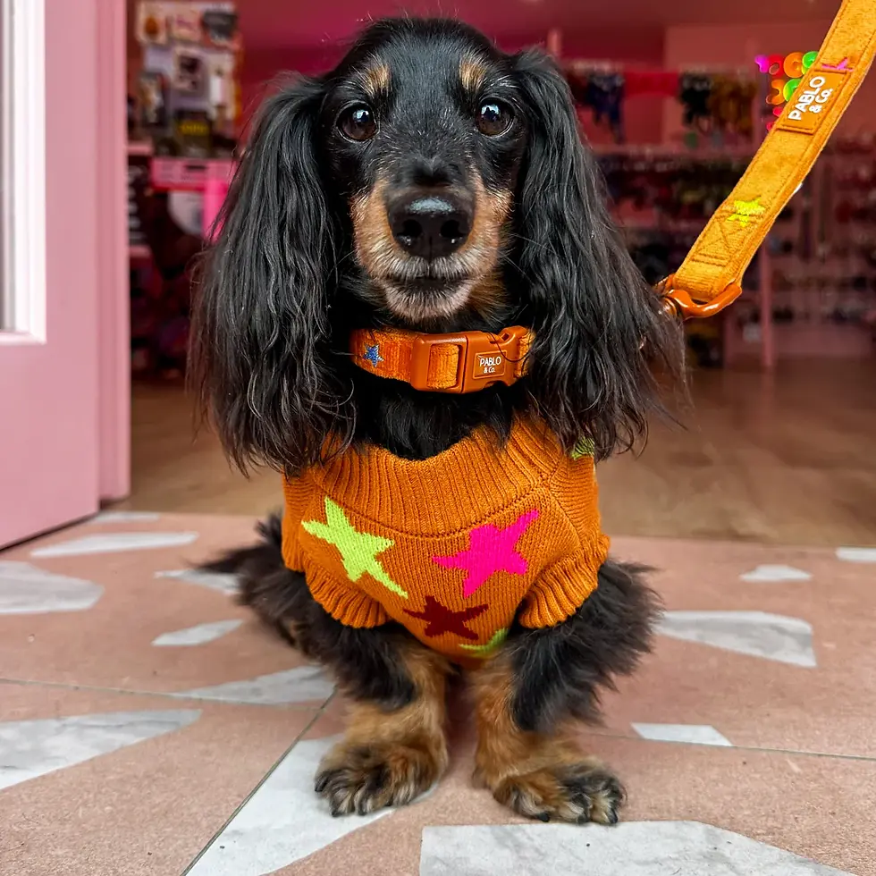 Thumbnail: Pablo and Co - You're a Star Jumper