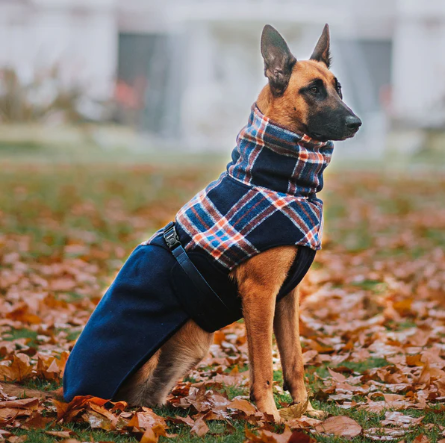 Thumbnail: Stylish Hound - Winter Coat Navy