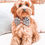 Thumbnail: PUPSTYLE Wild One Bow Tie