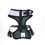 Thumbnail: PUPSTYLE Greys for Days City Harness