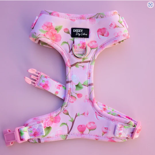 Sweet Sakura Harness by Dizzy Dog Collars Dapper Dog Grooming