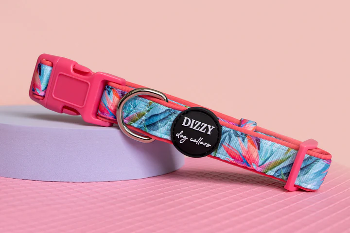 Dizzy Dog Collar Co. Birds of Paradise Collar