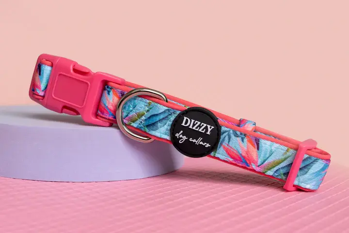 Dizzy Dog Collar Co. Birds of Paradise Collar