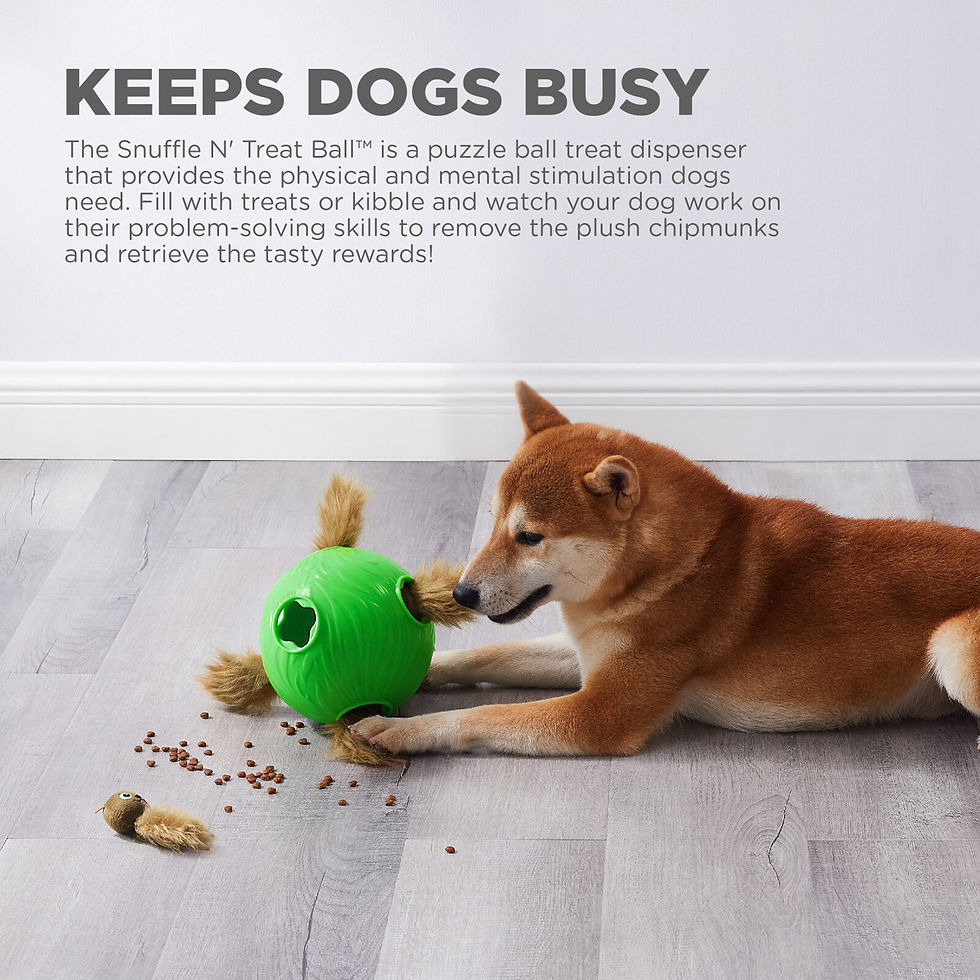 Thumbnail: Snuffle N Treat Ball by Nina Ottosson