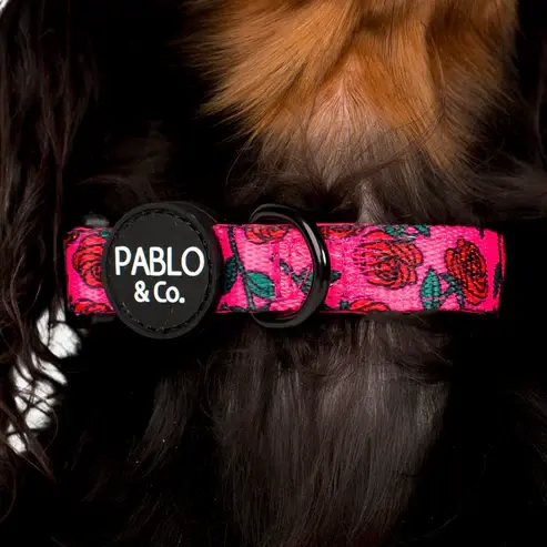 Pablo & Co - Rosie - Dog Collar