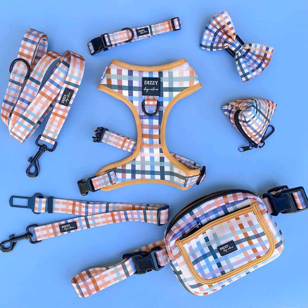 Thumbnail: Dizzy Dog Collar Co. Vintage Gingham Adjustable Harness
