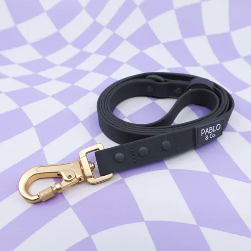 Pablo & Co -Waterproof Multifunction Leash Charcoal