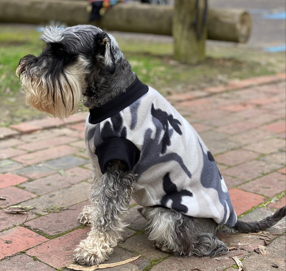 Pawz@Play Jumper - Grey Camo