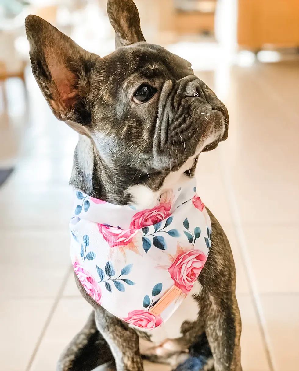 Thumbnail: PUPSTYLE Fresh Blooms Bandana