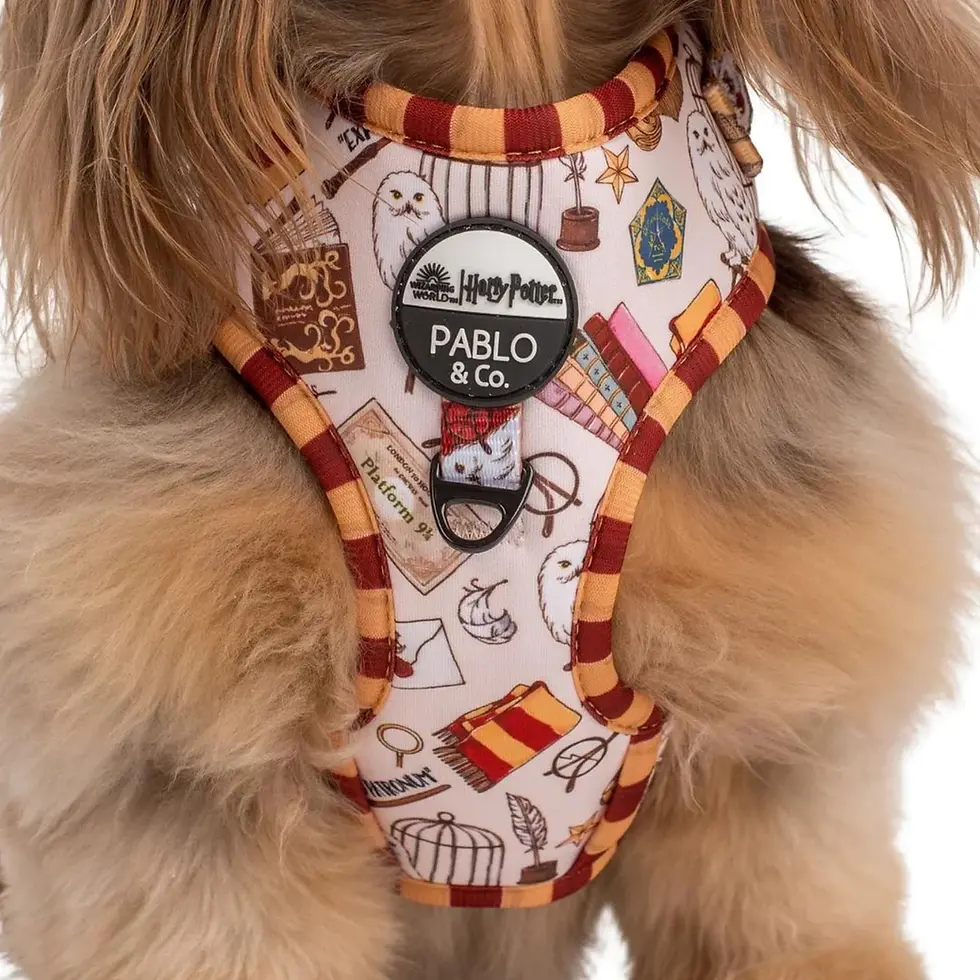 Thumbnail: Pablo and Co - Harry Potter Harness