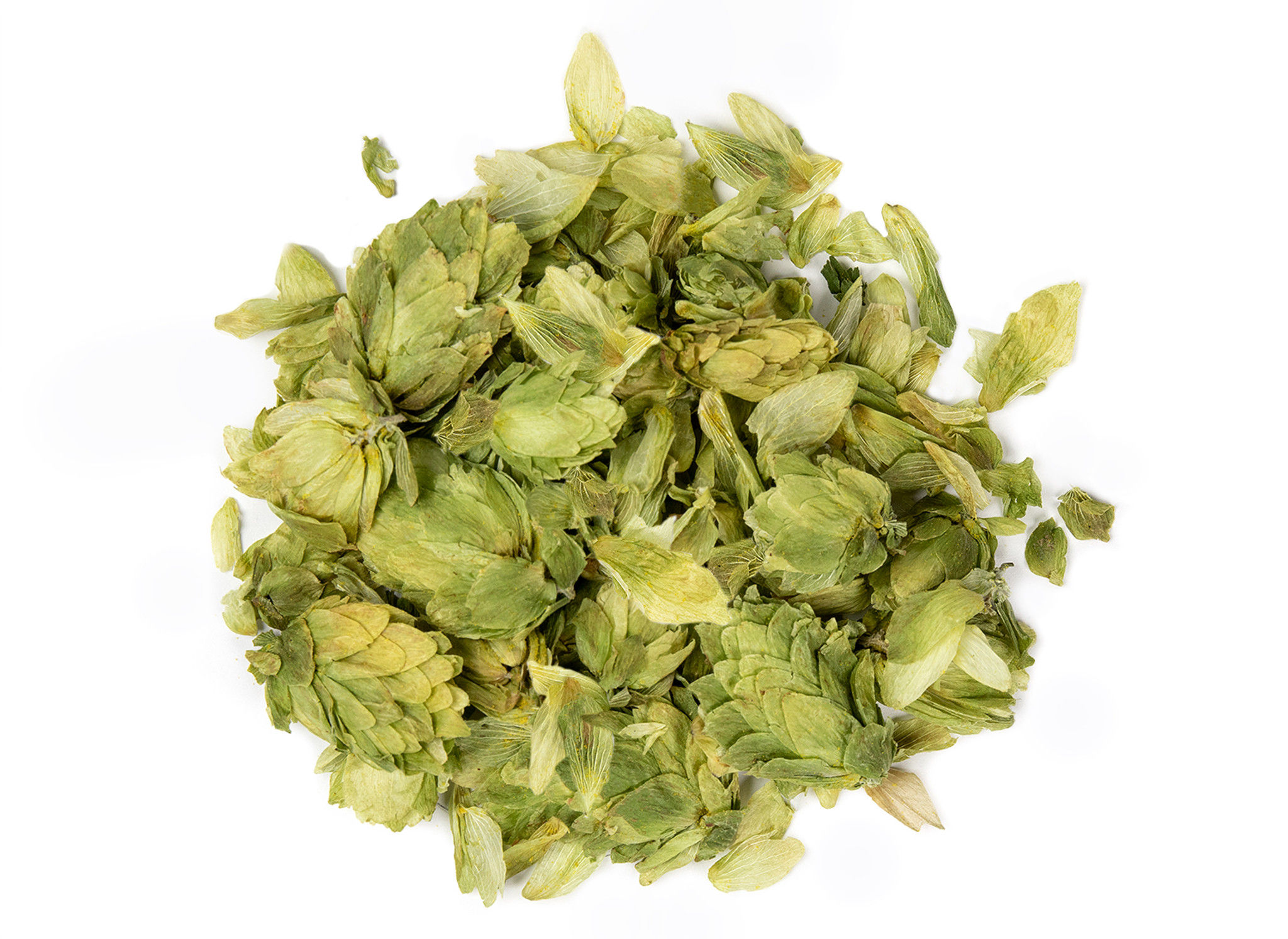 Hops Flower