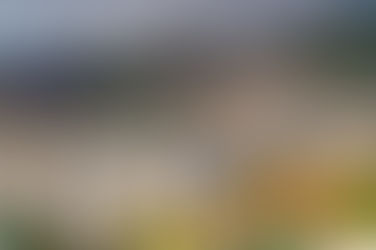 What went Wrong in Venezuela