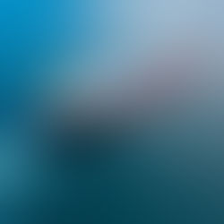 What Happens Next in the Middle East?