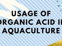 USAGE OF ORGANIC ACID IN AQUACULTURE