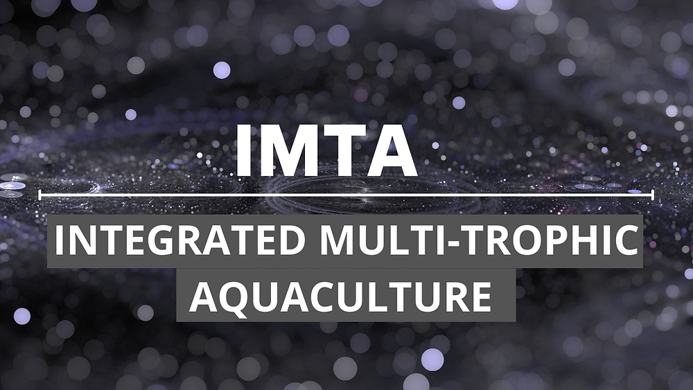 INTEGRATED MULTI-TROPHIC AQUACULTURE (IMTA)