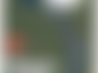 4 Days till the History Triathlon