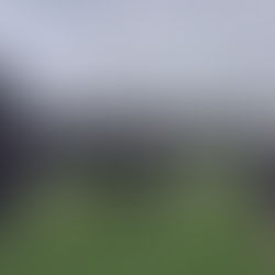 Level Up Returns for Summer