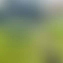 Cambridge City FC Seek New Reserve Team Manager for 2026/27 Season