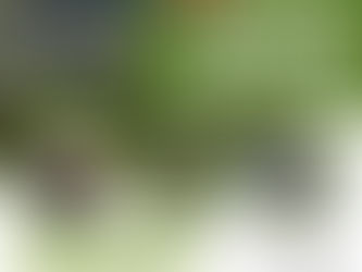 🏌️‍♂️ Cambridge City FC Golf Day 2026