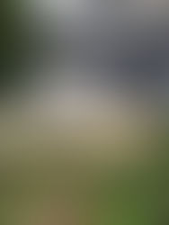 คืนสู่ดิน