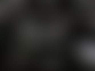 หนึ่งฤดูกาลชีวิต 'พิศวง'