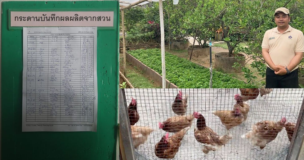 อภินันท์ อุดม Gardener Supervisor แผนกแม่บ้าน ผู้ดูแลการจัดการขยะอาหาร กับผลงานสวนครัวที่ภาคภูมิ
