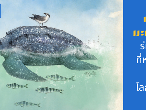 เต่ามะเฟือง:ร่มเงาที่หายไปในโลกร้อน