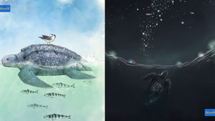 เต่ามะเฟือง:ร่มเงาที่หายไปในโลกร้อน