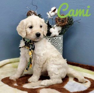 Cami (3).jpeg