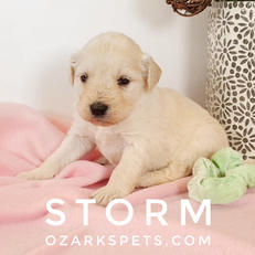 storm (2).jpeg
